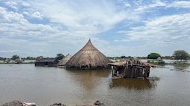 צילום: shutterstock